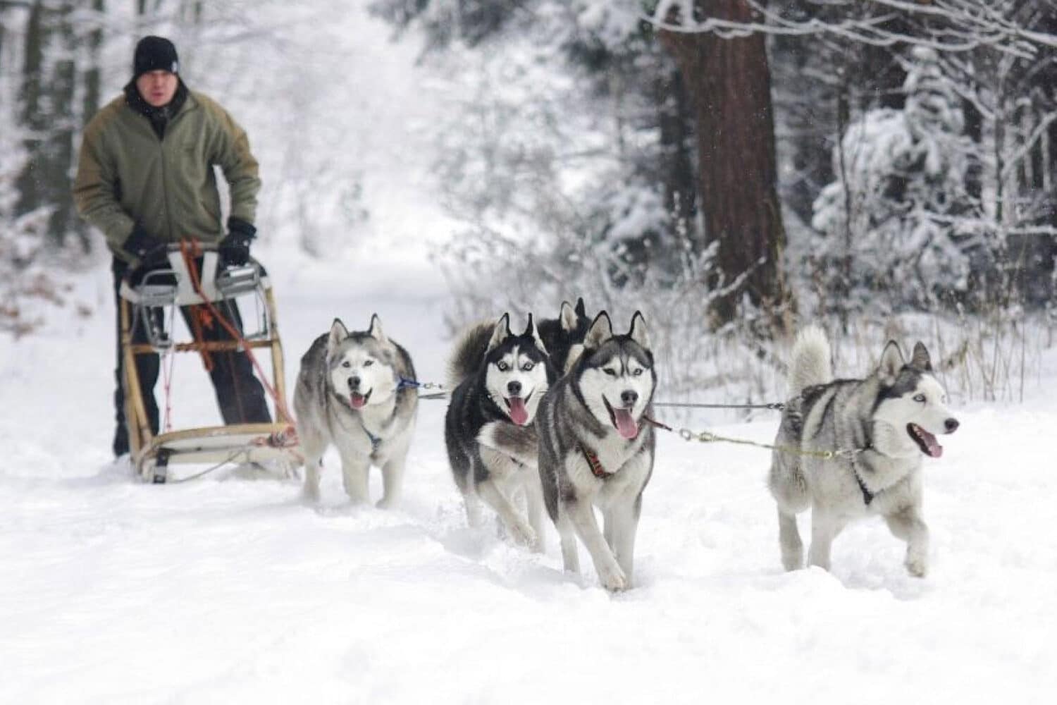 En attendant l’ouverture des pistes …